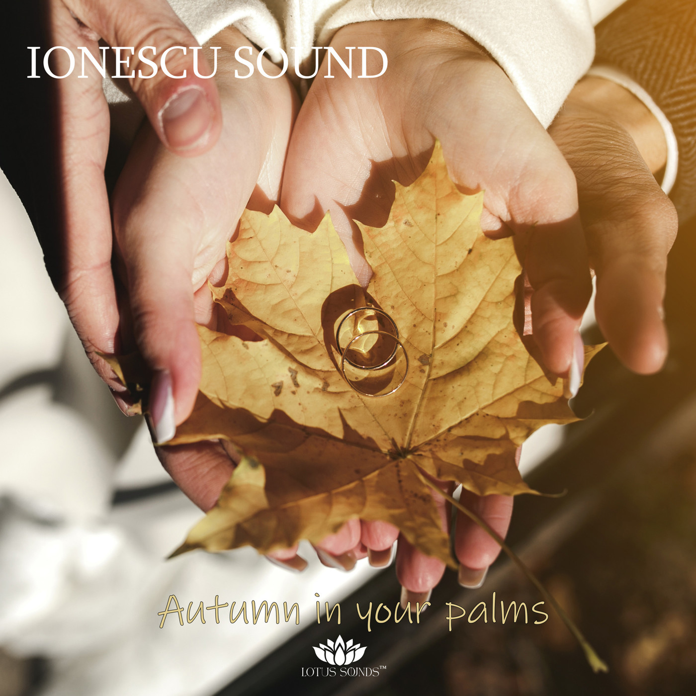 IONESCU SOUND - Autumn in your palms