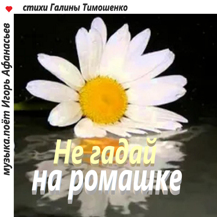 Не гадай на ромашке