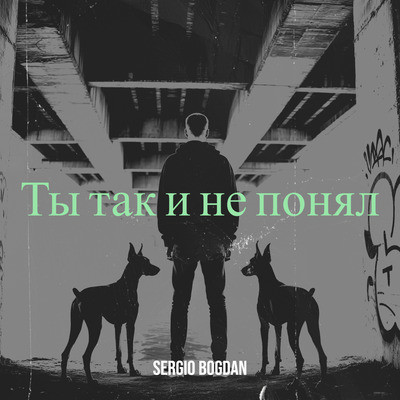 Sergio Bogdan - Ты так и не понял