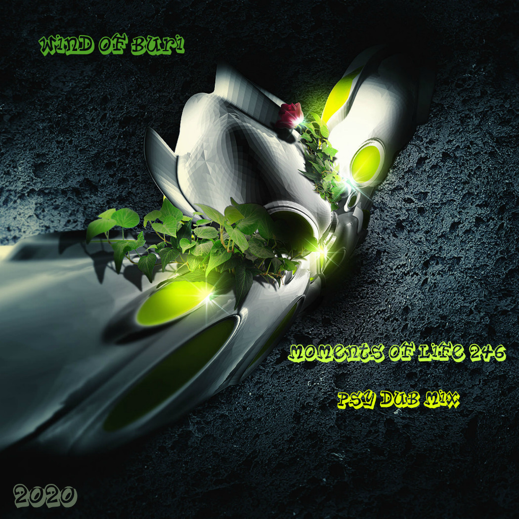 Wind Of Buri - Moments Of Life 246 (Psy Dub Mix) episode artwork