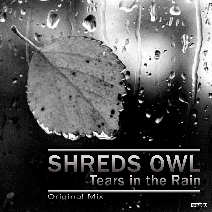 Rain Original. The Rain (Original Mix) Lenny Ibizarre. Raining Original. Tears in the rain