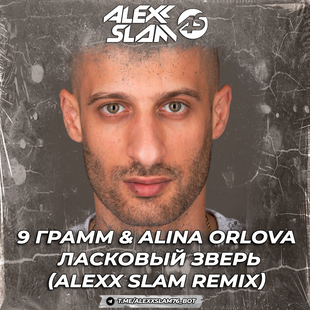 9 Грамм & Alina Orlova - Ласковый Зверь (Alexx Slam Remix) episode artwork