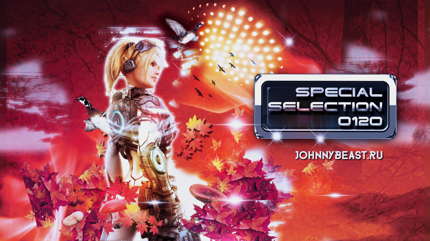 Special Selection Podcasts