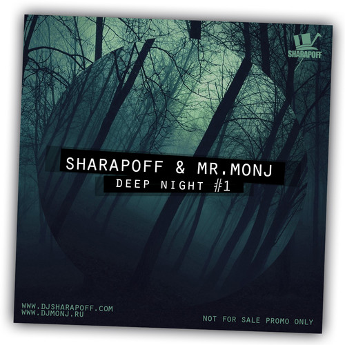 Dj Sharapoff & Mr. Dj Monj - Deep Night #1