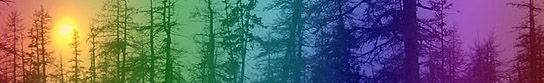 PromoDJ banner for @leprechaun
