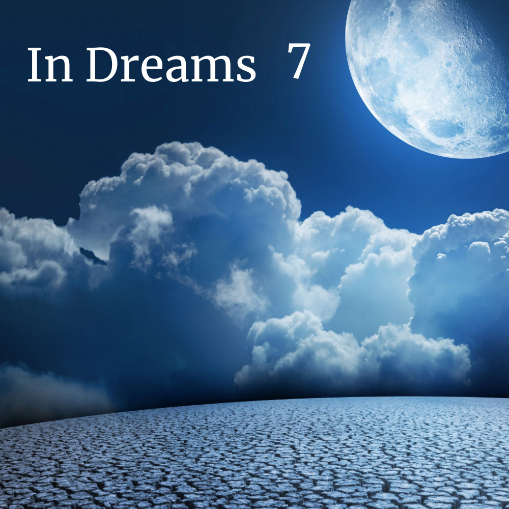 Dj Sandr - In Dreams 7