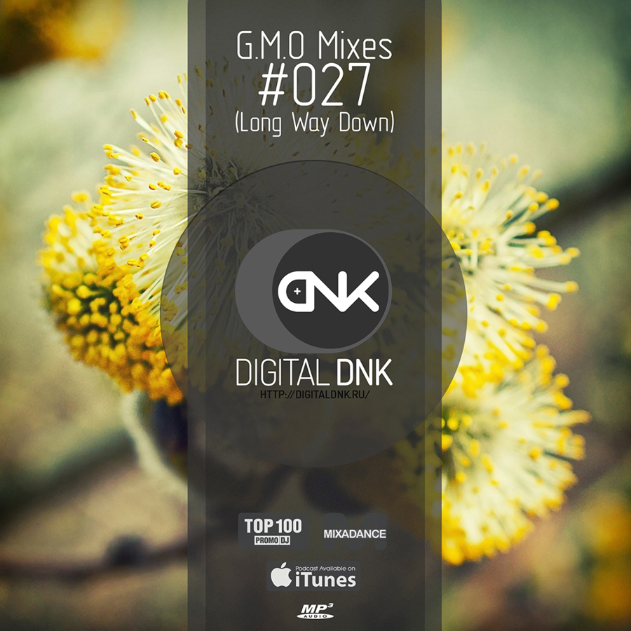 digital DNK
