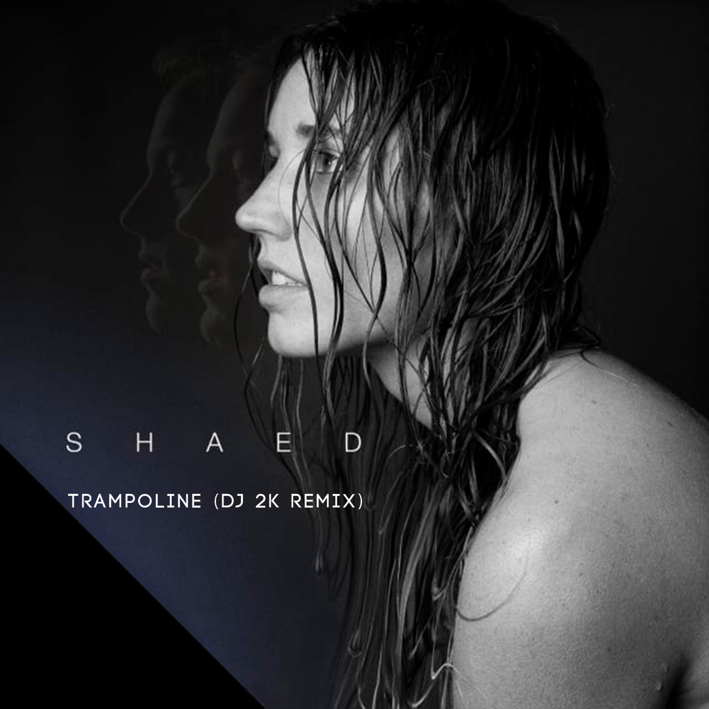 Shaed - Trampoline (Dj 2k Remix) Shaed - Trampoline (Dj 2k Remix)