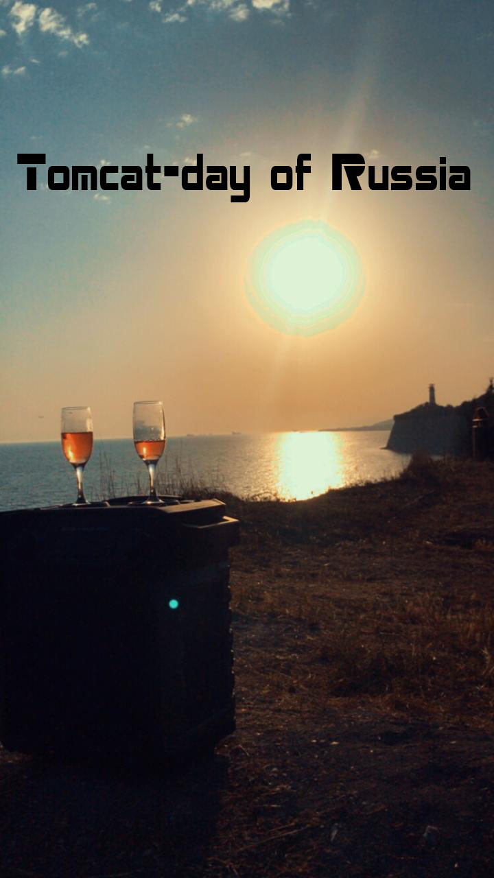 Tomcat- day of Russia #5