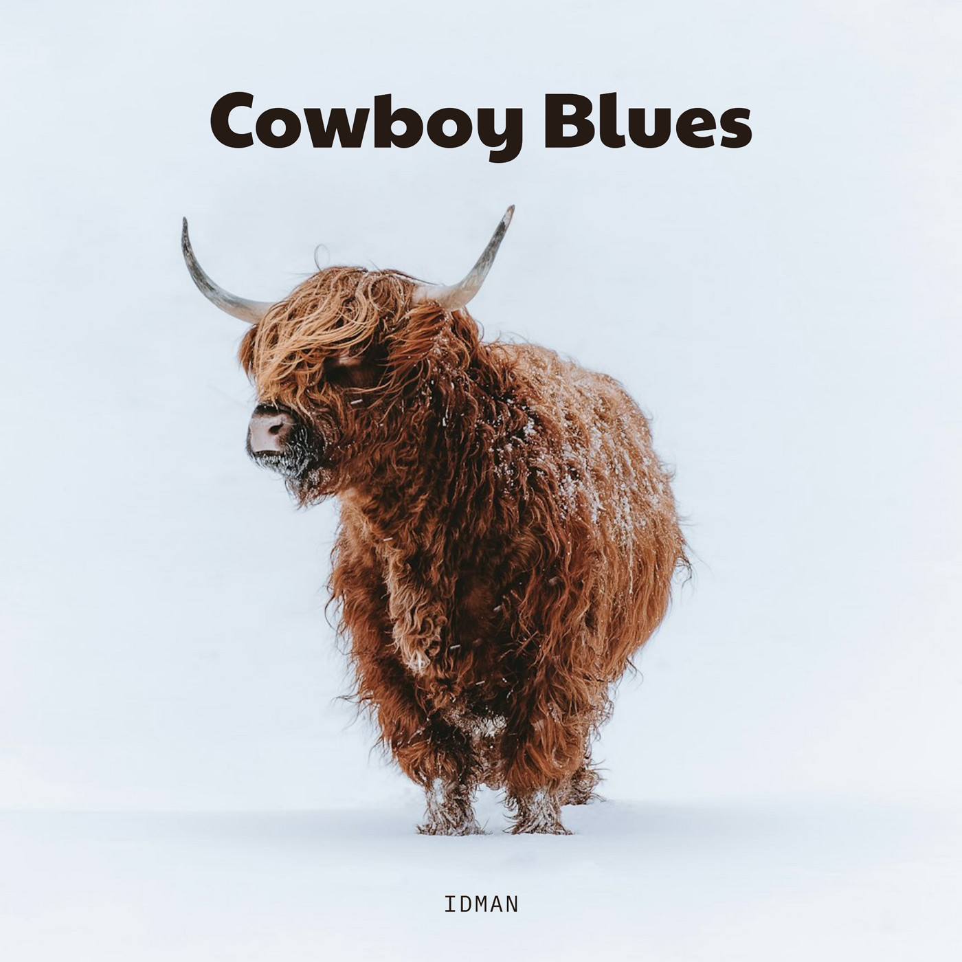 IDMAN - Cowboy Blues