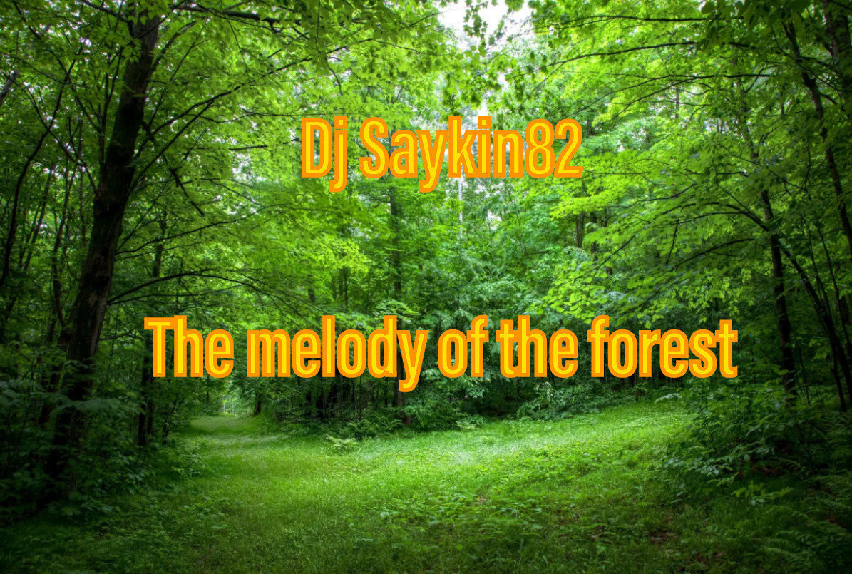 Dj Saykin82 the melody of the forest