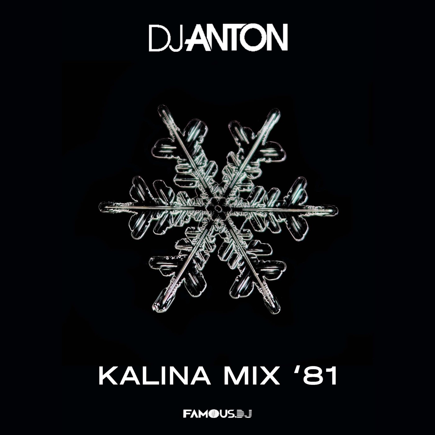 DJ ANTON - KALINA MIX (PART 81) episode artwork