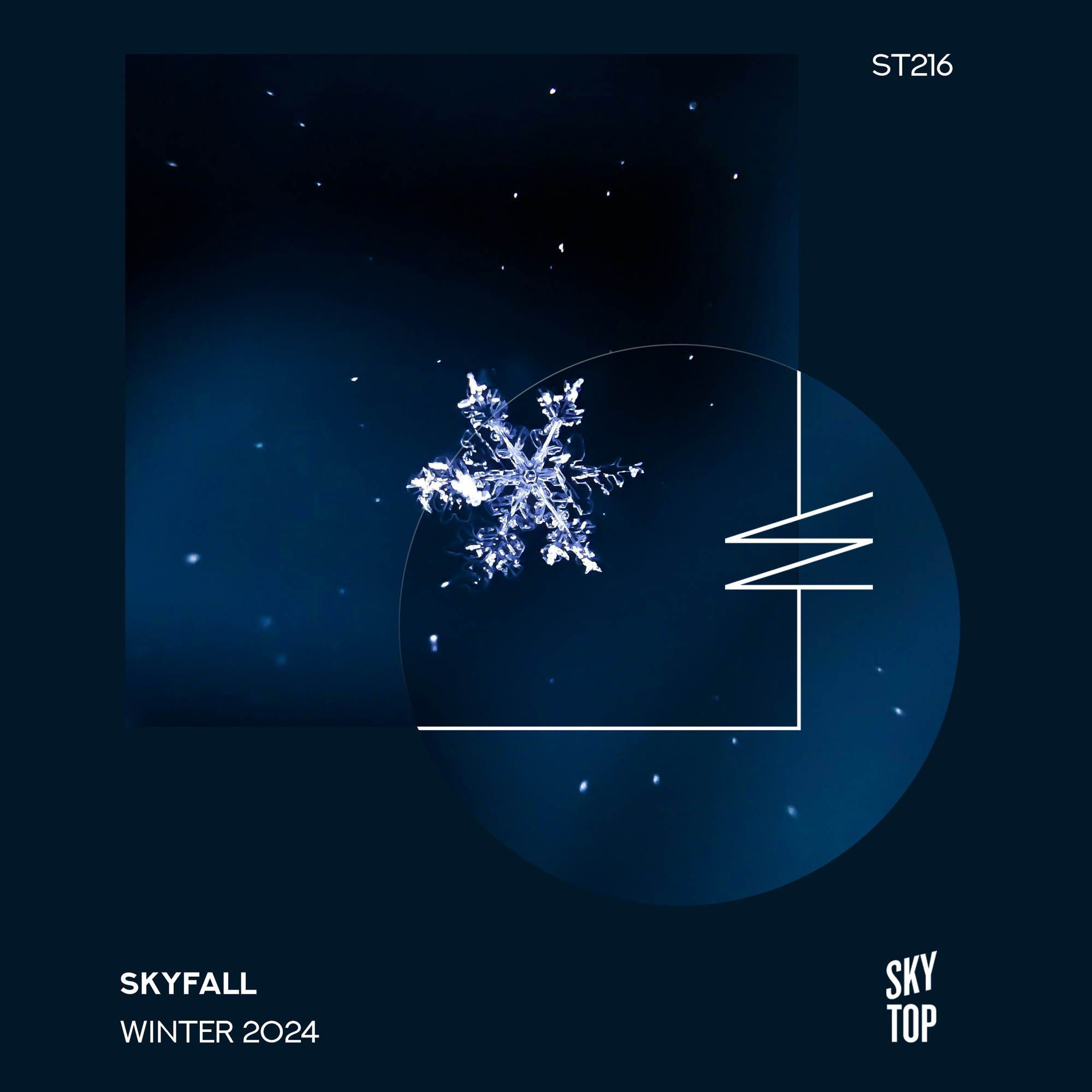 Алексей Сонар — SkyFall зима 2024 (DJ Mix) [SkyTop]