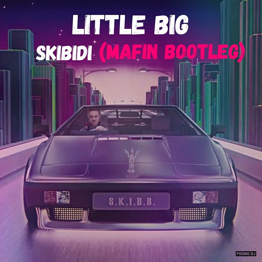 Литл биг песни. SKIBIDI романтик. Little big скибиди романтик. Скибиди романтик едитион. Little big SKIBIDI Romantic Edition обложка.