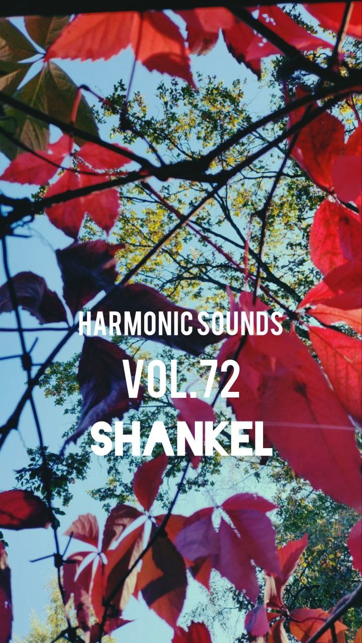 Harmonic Sounds
