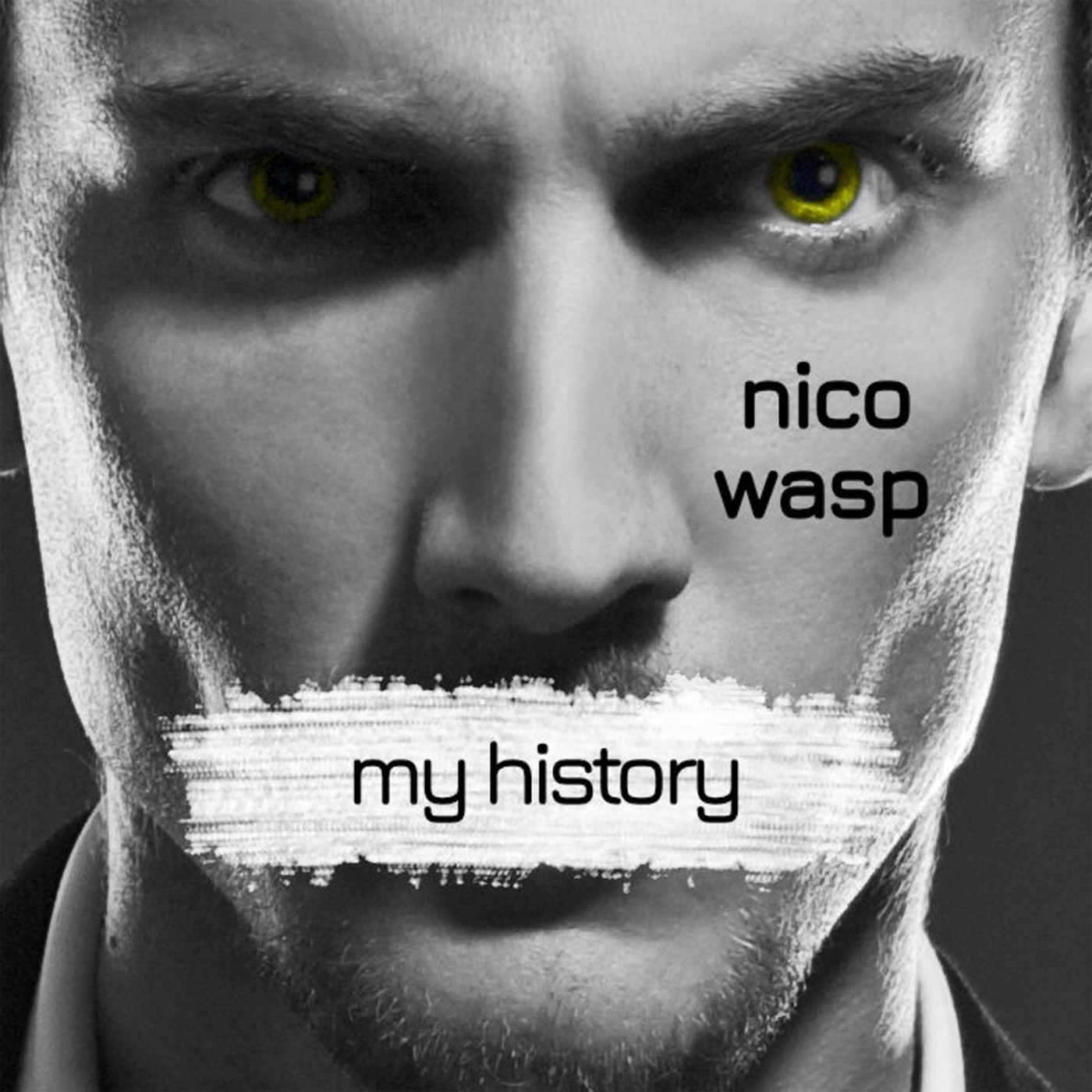 Nico Wasp - My history