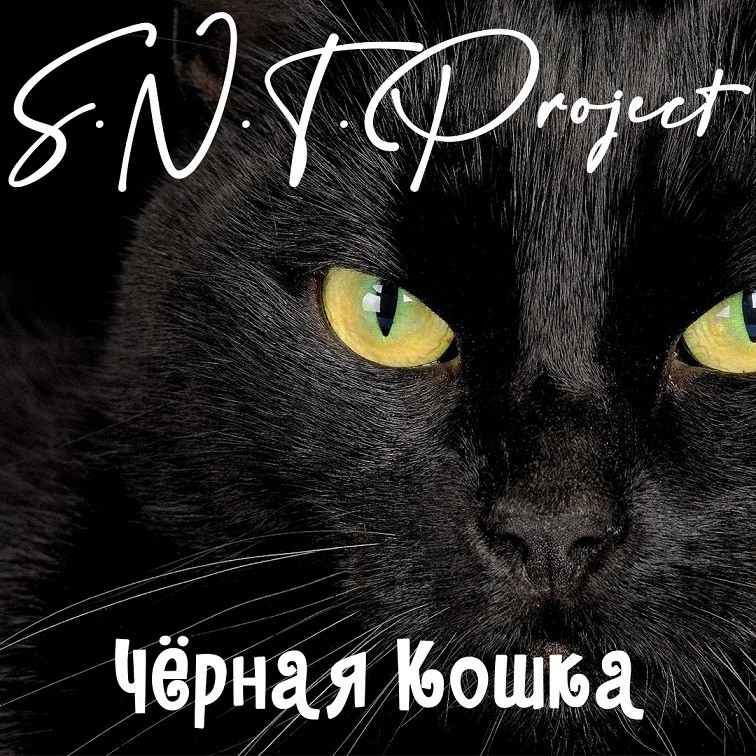 S.N.T.Project - Чёрная Кошка episode artwork