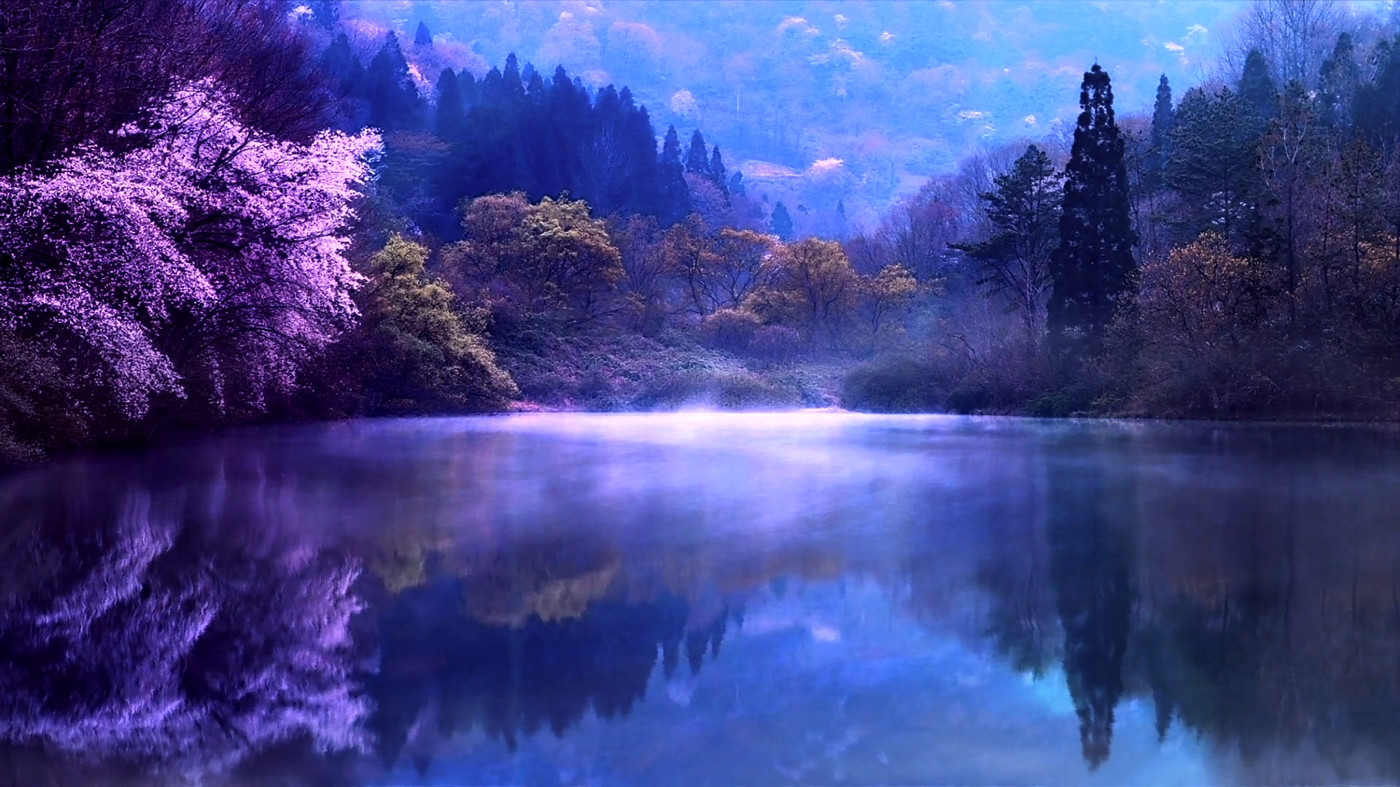 Ntr - Paradise Ntr - Paradise