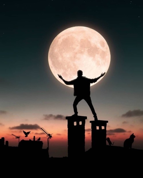 ★mcℕ℮mc★-Лети Как Я[cover]