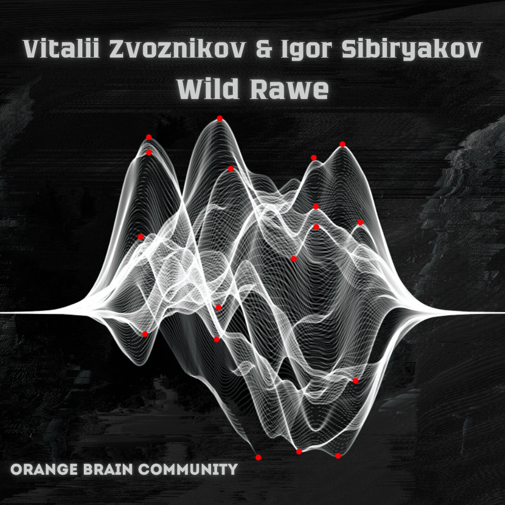 Vitalii Zvoznikov