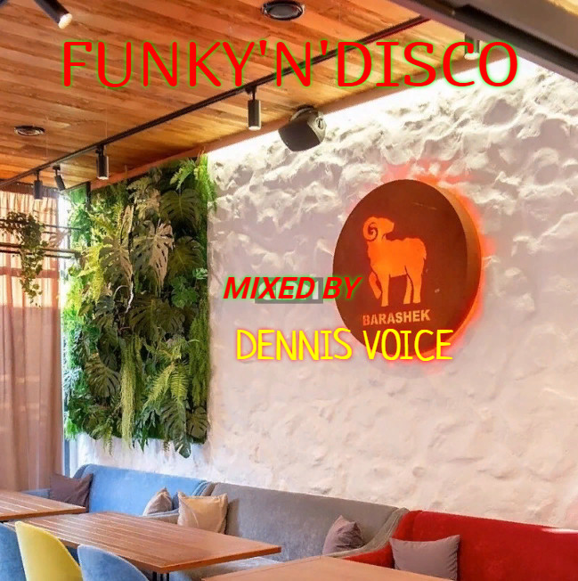 DENNIS VOICE 'BARASHEK & MESTO PRO TESTO DISCO' N 'FUNKY' #9