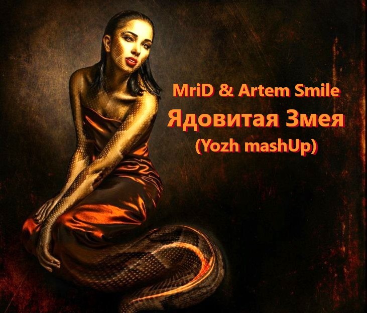 MriD & Artem Smile vs Serg Shenon vs Meatboy - Ядовитая Змея (Yozh mashUp)