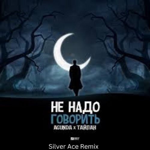 Agunda, Тайпан - Не надо говорить (Silver Ace Radio Edit) – Silver Ace