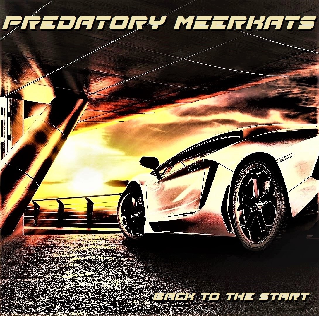 Predatory Meerkats - Step (Original Mix) episode artwork