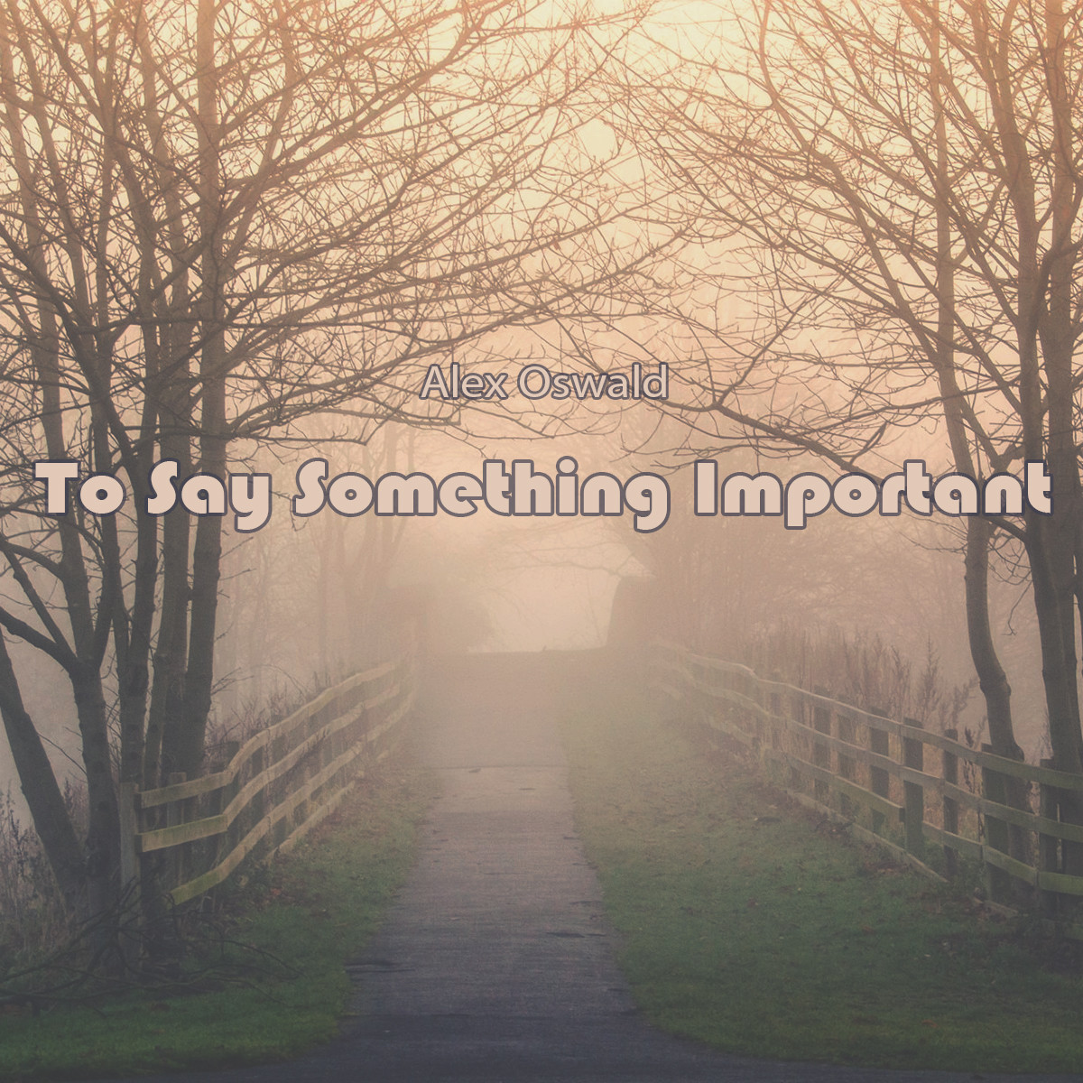 Alex Oswald - To Say Something Important (Original Mix)