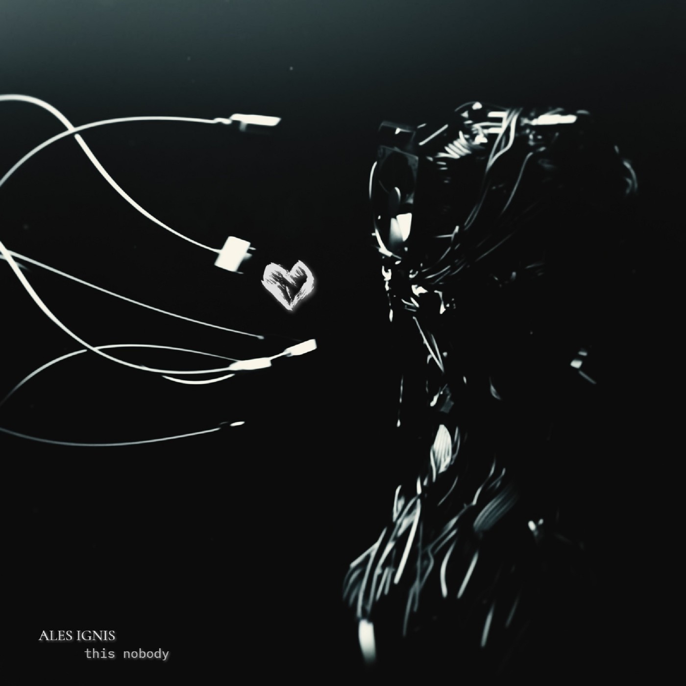 ALES IGNIS - this nobody