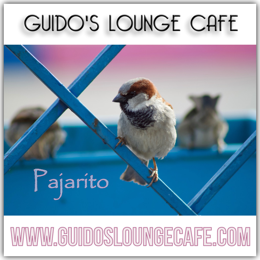 Guido's Lounge Cafe Broadcast 0338 Pajarito (20180824) #338 episode artwork