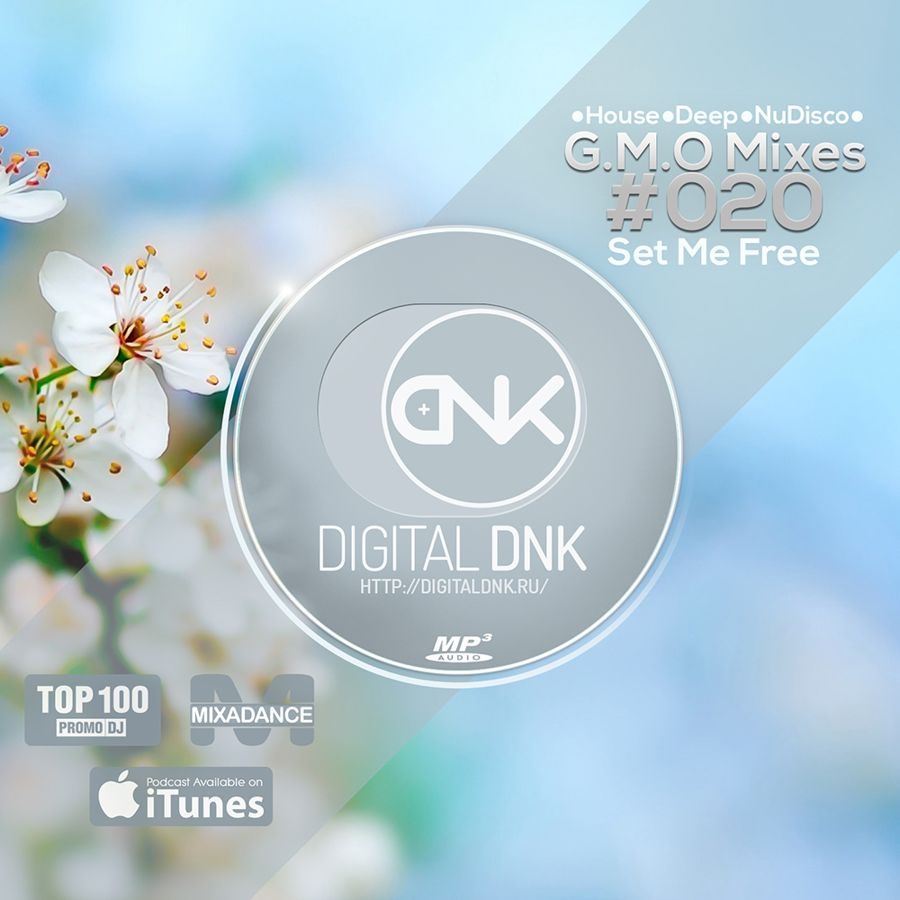 digital DNK