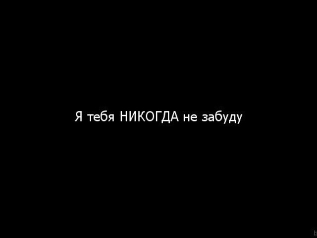 Не забывай. Я тебя забыла. Не забуду Деда никогда. Я тебя никогда не забуду. Я не забуду.