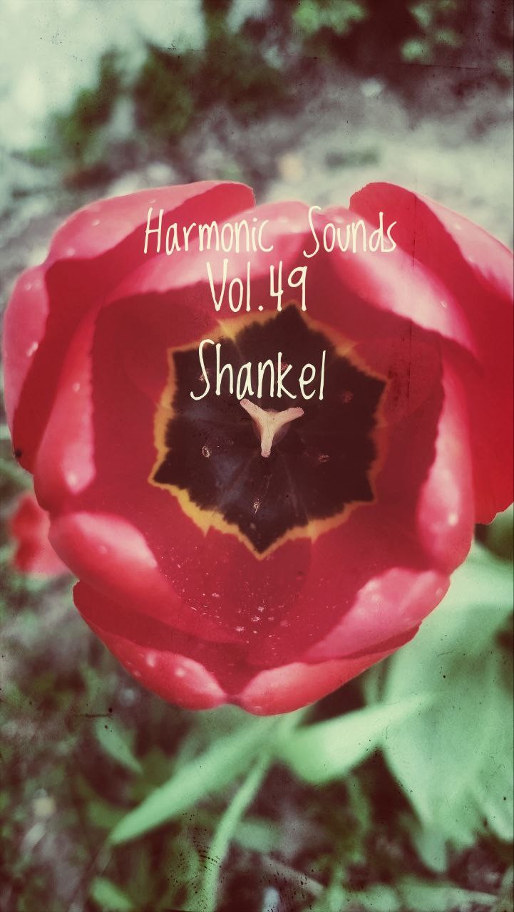 Harmonic Sounds
