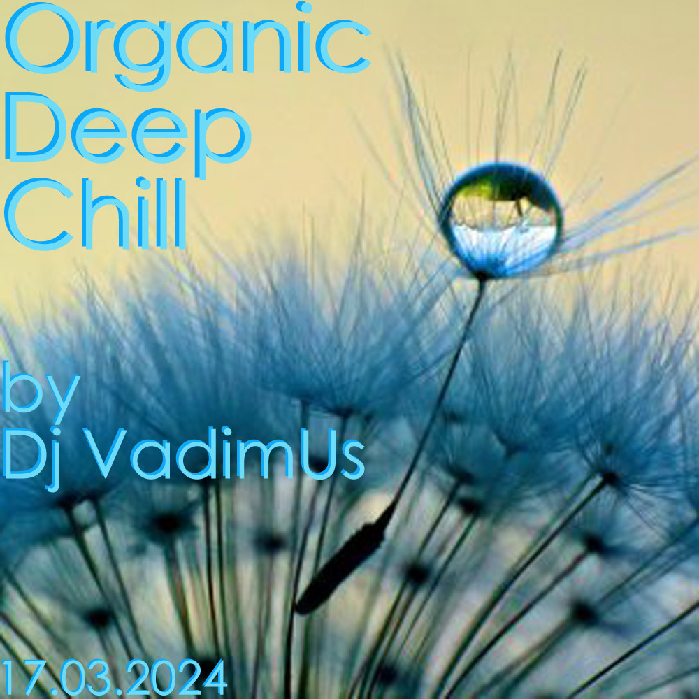 Dj VadimUs