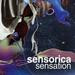 Sensorica — Sensation episode artwork