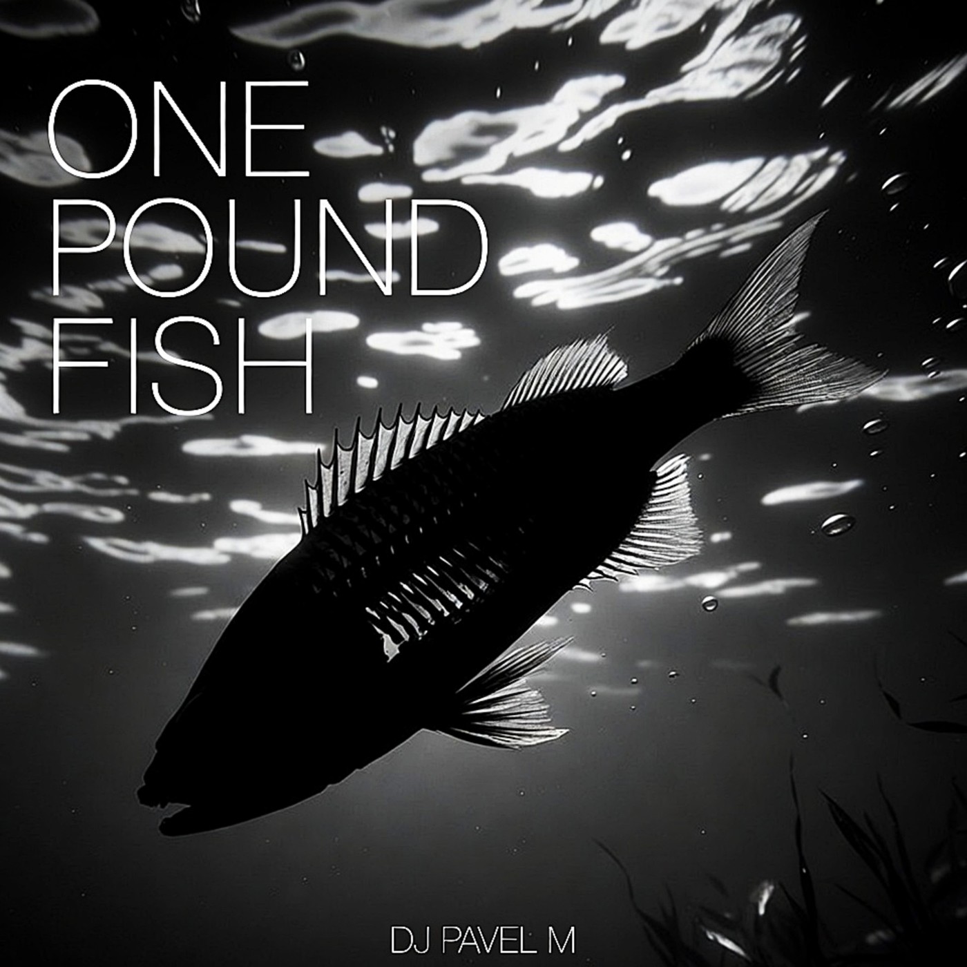 DJ Pavel M - One Pound Fish