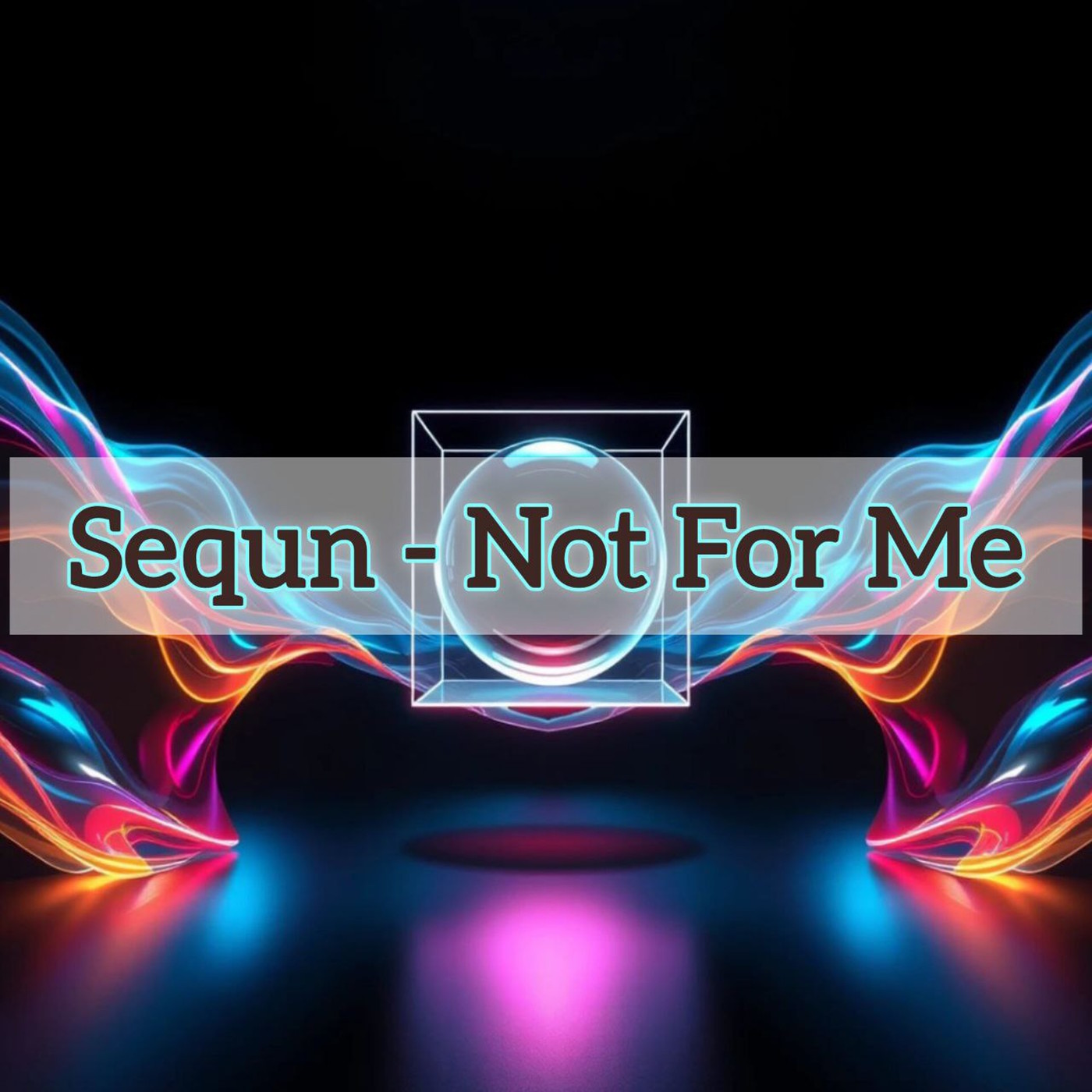 Sequn - Not For Me [Slap House]