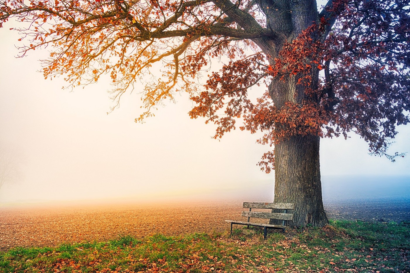 Chillout Stories