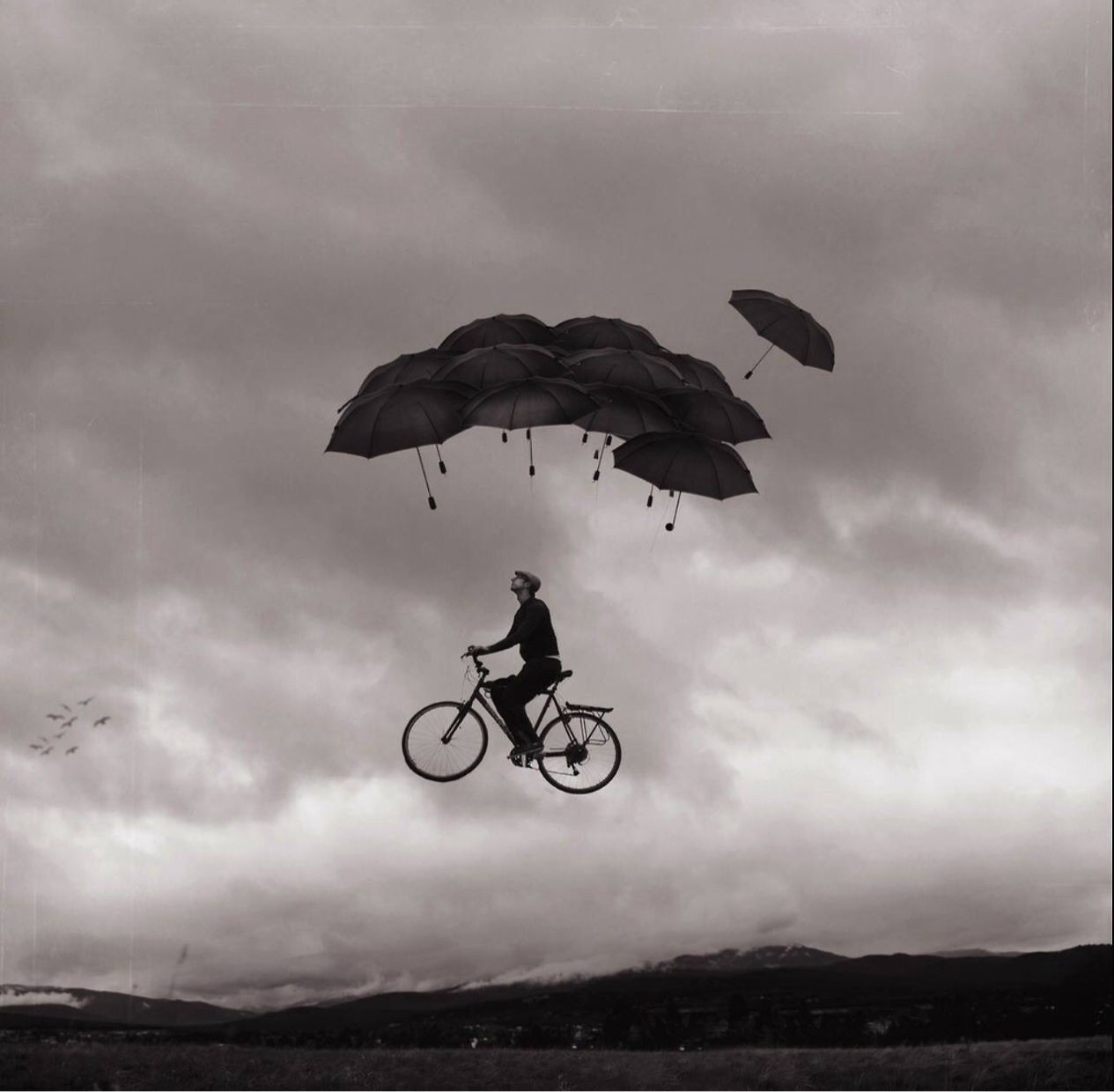 ЛiV - тертропотвА ЛiV - тертропотвА