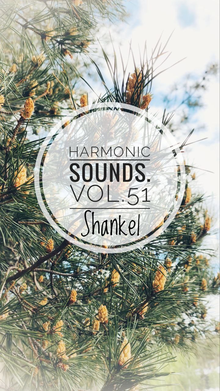 Harmonic Sounds