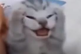 Песня про дифференциальные уравнения