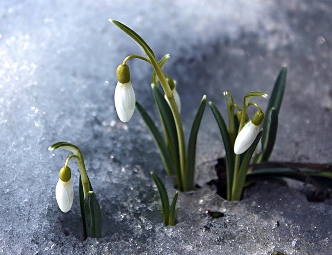 DJ ANDREY SANIN - SPRING MELODY (2014)