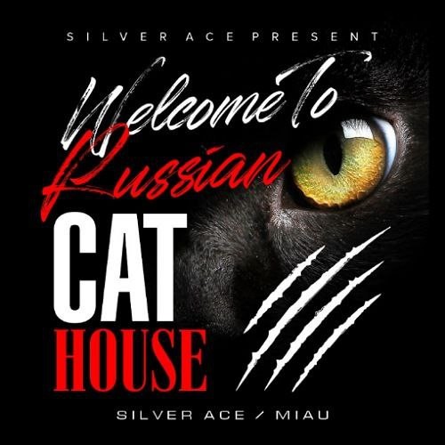 Gunwest- Новая бывшая (Silver Ace & Miau Radio Edit) – Silver Ace