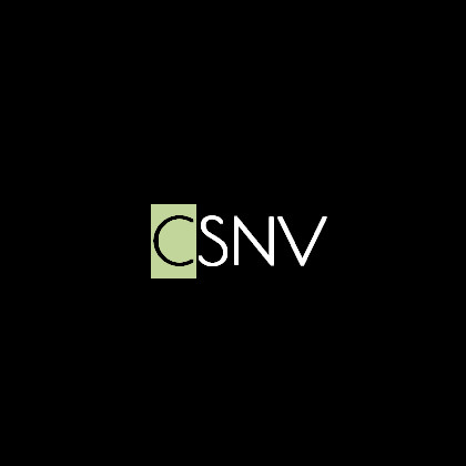 CSNV - Crystallization