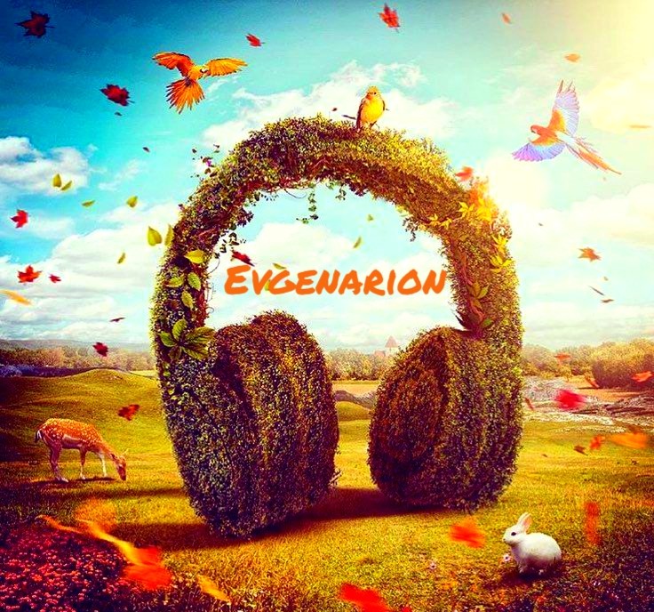Evgenarion - Experimental sound Evgenarion - Experimental sound