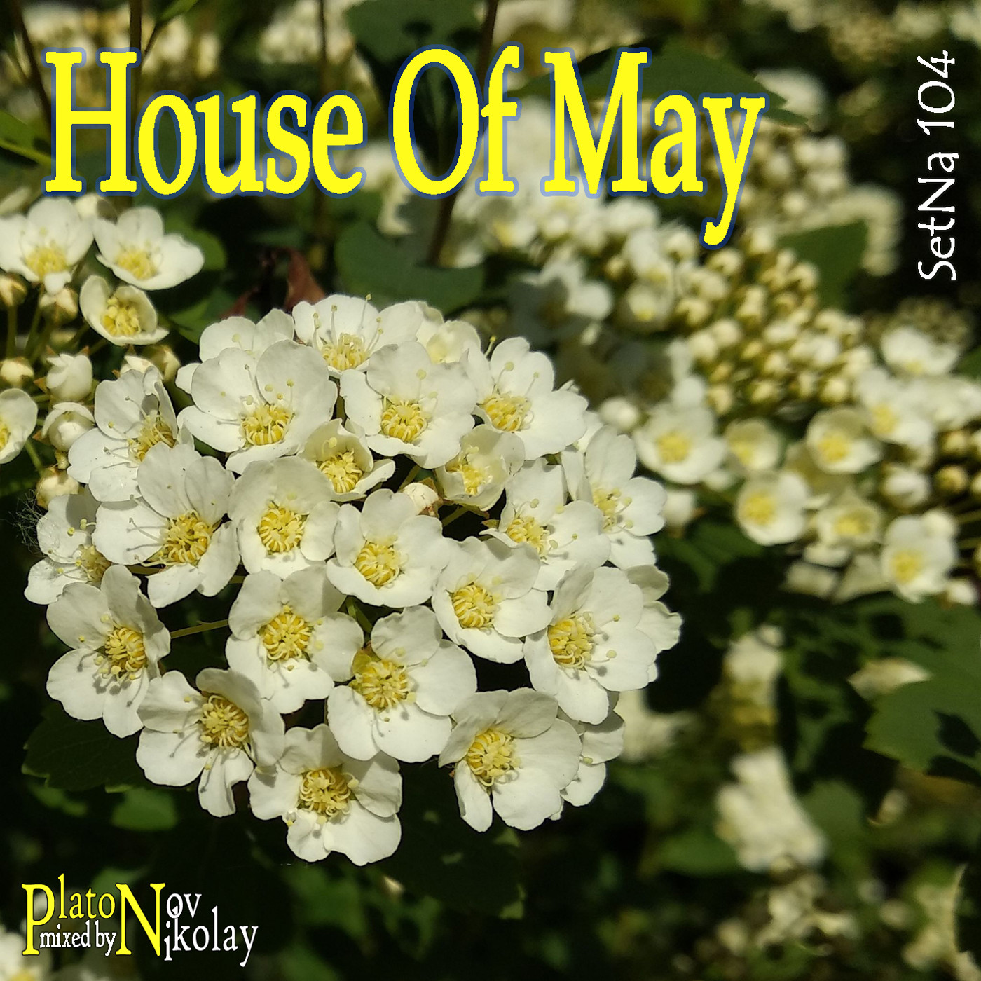 SetNa Mixes
