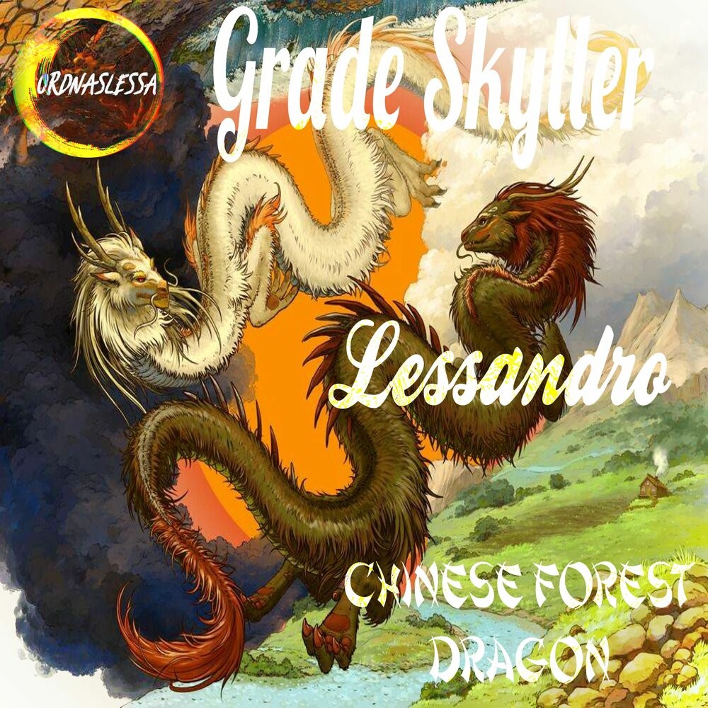 Lessandro, Grade Skyller - Chinese Forest Dragon Lessandro, Grade Skyller - Chinese Forest Dragon