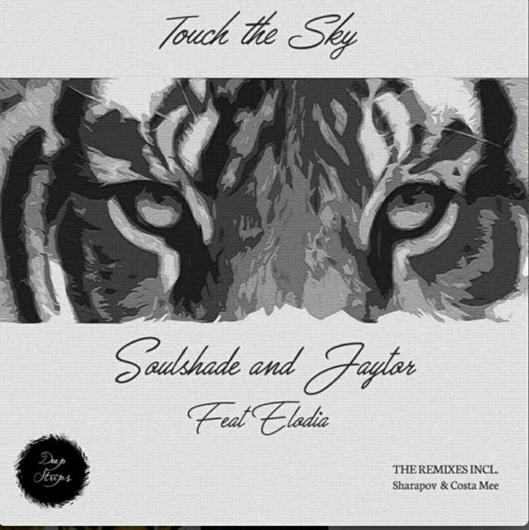 Soulshade & Jaytor feat. Elodia - Touch The Sky (Sharapov Remix) episode artwork