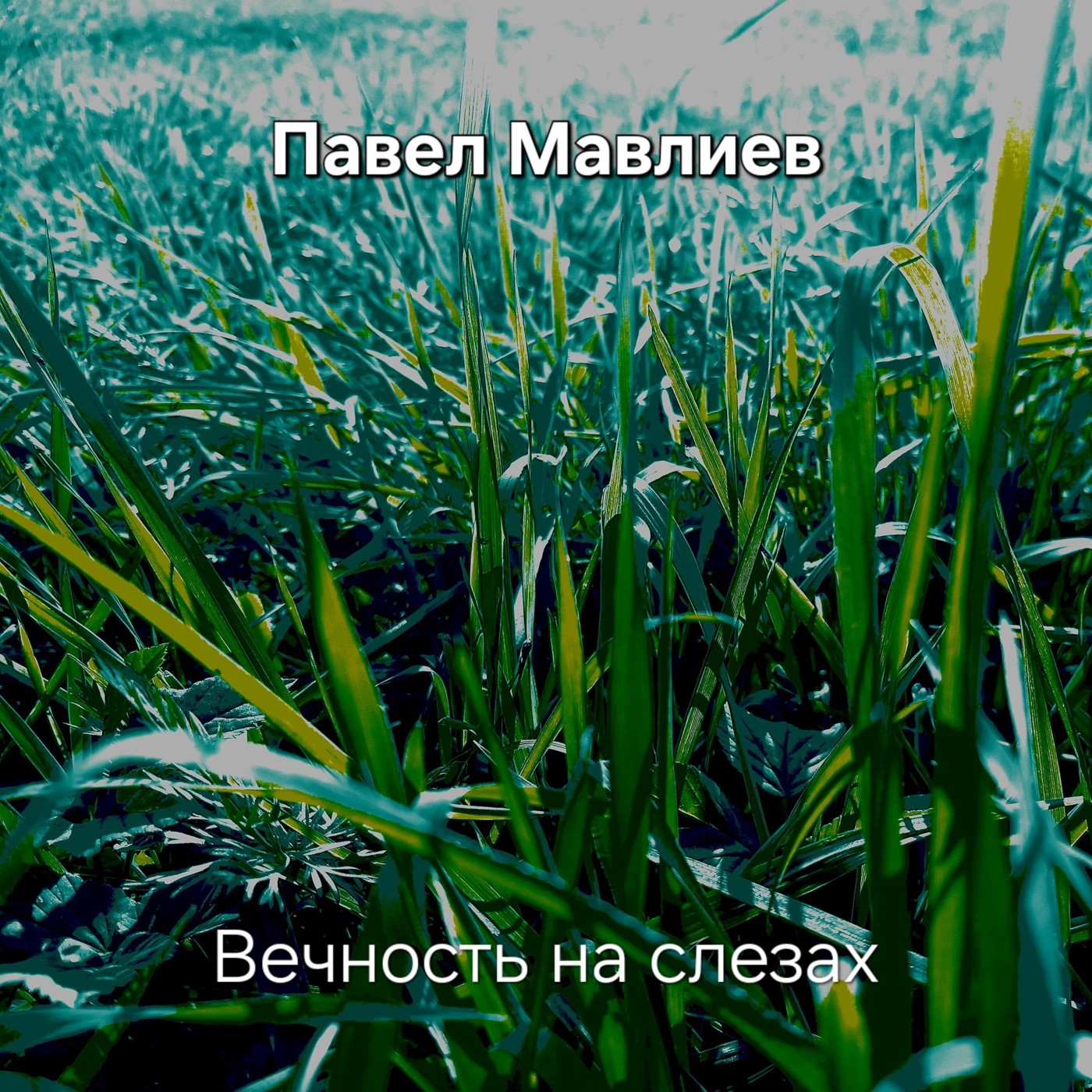 Павел Мавлиев - Вечность на слезах